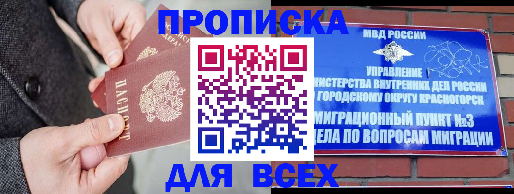 прописка гарантия в Камышине